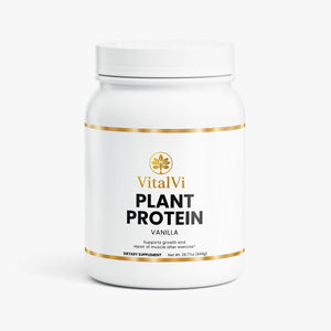 Plant Protein (Vanilla)