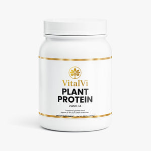 Plant Protein (Vanilla)
